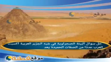 البيئة الصحراوية في شبه الجزير العربية أكسبت العرب عددًا من الصفات الحميدة يعد