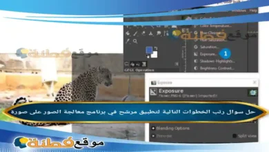 رتب الخطوات التالية لتطبيق مرشح في برنامج معالجة الصور على صورة