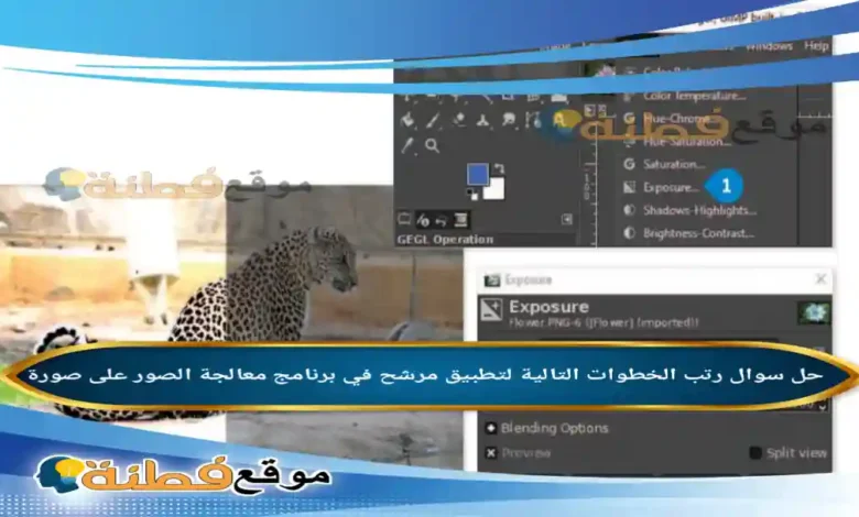 رتب الخطوات التالية لتطبيق مرشح في برنامج معالجة الصور على صورة