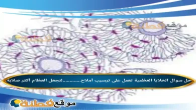 الخلايا العظمية تعمل على ترسيب أملاح.............لتجعل العظام أكثر صلابة.