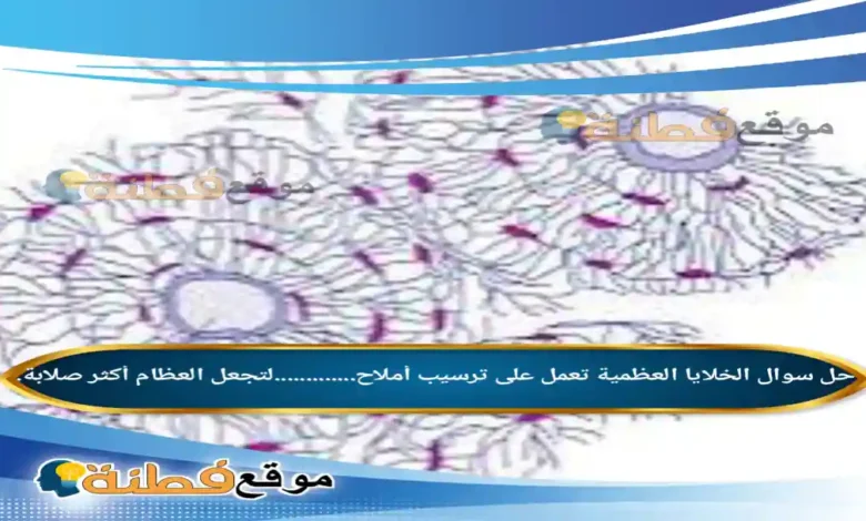 الخلايا العظمية تعمل على ترسيب أملاح.............لتجعل العظام أكثر صلابة.