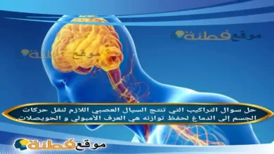 التراكيب التي تنتج السيال العصبي اللازم لنقل حركات الجسم إلى الدماغ لحفظ توازنه هي العرف الأمبولي و الحويصلات.