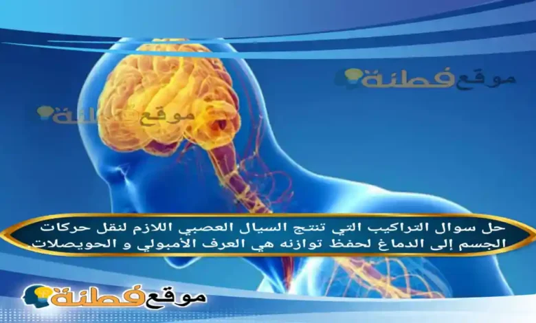 التراكيب التي تنتج السيال العصبي اللازم لنقل حركات الجسم إلى الدماغ لحفظ توازنه هي العرف الأمبولي و الحويصلات.