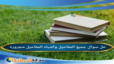 جميع المفاعيل وأشباه المفاعيل مجرورة