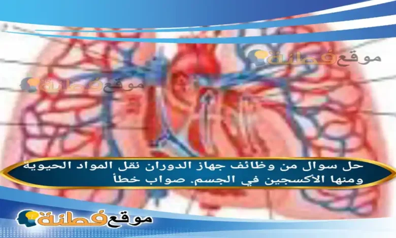 من وظائف جهاز الدوران نقل المواد الحيوية ومنها الأكسجين في الجسم. صواب خطأ