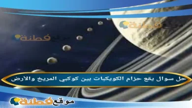 يقع حزام الكويكبات بين كوكبي المريخ والأرض