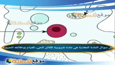 المادة المغذية هي مادة ضرورية للكائن الحي، للقيام بوظائفه الحيوية.
