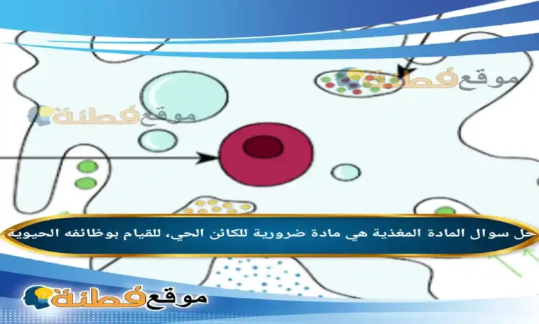 المادة المغذية هي مادة ضرورية للكائن الحي، للقيام بوظائفه الحيوية.