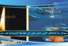 ما الدلائل التي تدل على أن تفاعلاً كيميائياً قد حدث