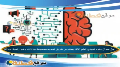 يقوم نموذج تعلم الآلة بعمله عن طريق تحديد مجموعة بيانات، وخوارزمية، ودالة.