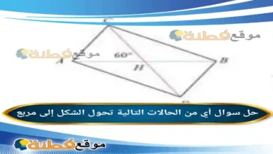 أي من الحالات التالية تحول الشكل إلى مربع