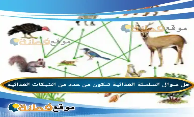 السلسلة الغذائية تتكون من عدد من الشبكات الغذائية