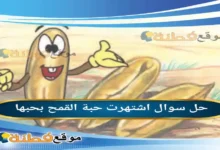 اشتهرت حبة القمح بحبها