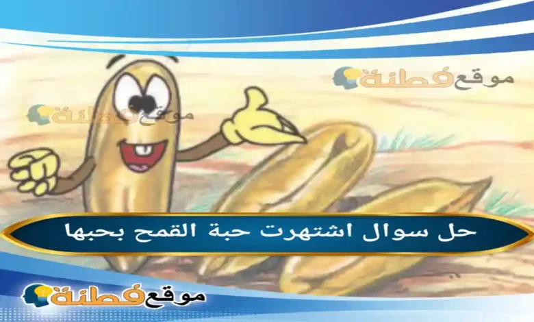 اشتهرت حبة القمح بحبها