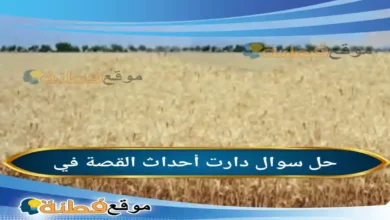 دارت أحداث القصة في