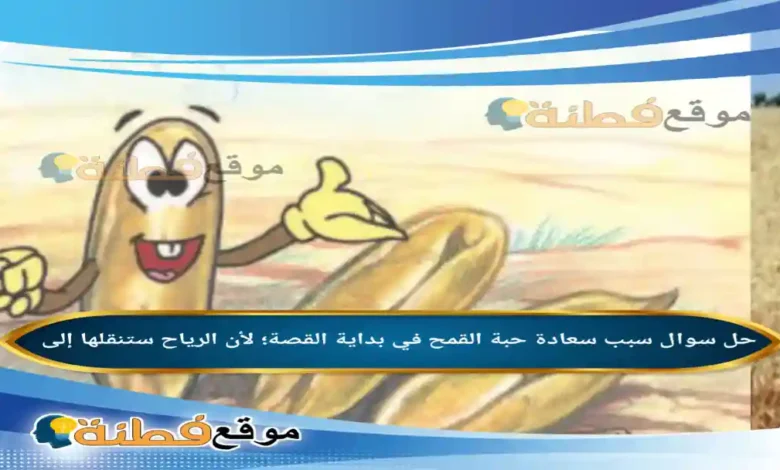 سبب سعادة حبة القمح في بداية القصة؛ لأن الرياح ستنقلها إلى