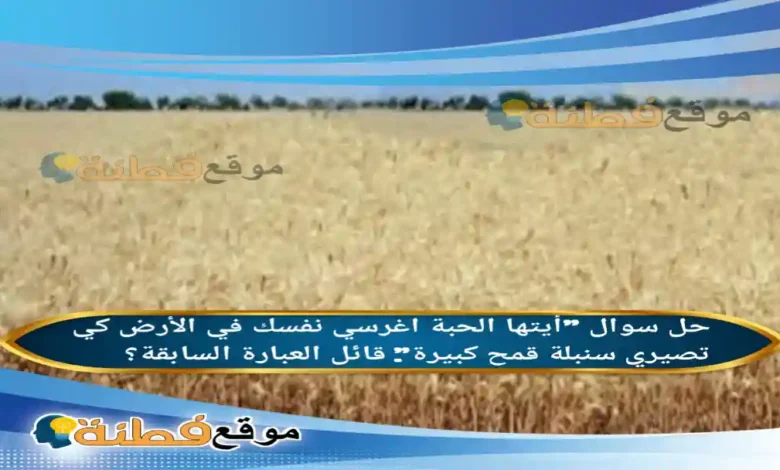 أيتها الحبة اغرسي نفسك في الأرض كي تصيري سنبلة قمح كبيرة. قائل العبارة السابقة