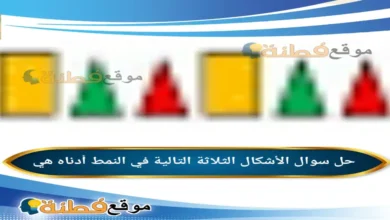 الأشكال الثلاثة التالية في النمط أدناه هي