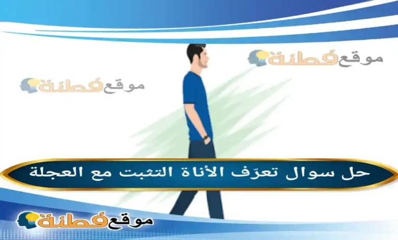 تعرّف الأناة التثبت مع العجلة