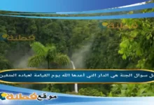 الجنة هي الدار التي أعدها الله يوم القيامة لعباده المتقين .