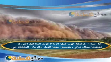 عاصفة تهب فيها الرياح فوق المناطق التي لا يُغطيها غطاء نباتي، فتحمل معها الغبار والرمال المفككة هي