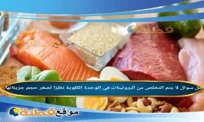 لا يتم التخلص من البروتينات في الوحدة الكلوية نظرًا لصغر حجم جزيئاتها.