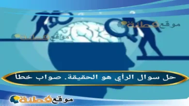 الرأي هو الحقيقة. صواب خطأ