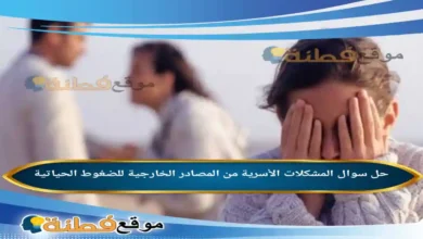 المشكلات الأسرية من المصادر الخارجية للضغوط الحياتية