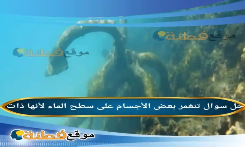 تنغمر بعض الأجسام على سطح الماء لأنها ذات