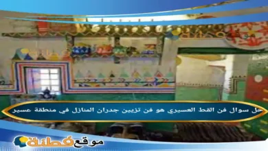 فن القط العسيري هو فن تزيين جدران المنازل في منطقة عسير