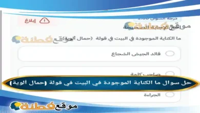 ما الكناية الموجودة في البيت في قولة (حمال ألوية)