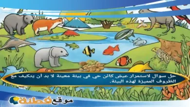 لاستمرار عيش كائن حي في بيئة معينة لا بد أن يتكيف مع الظروف المميزة لهذه البيئة.