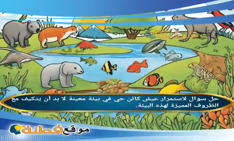 لاستمرار عيش كائن حي في بيئة معينة لا بد أن يتكيف مع الظروف المميزة لهذه البيئة.