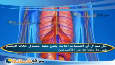 أي العمليات التالية ينتج عنها حصول خلايا الجسم على ما تحتاجه من الأكسجين