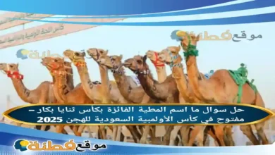 ما اسم المطية الفائزة بكأس ثنايا بكار – مفتوح في كأس الأولمبية السعودية للهجن 2025