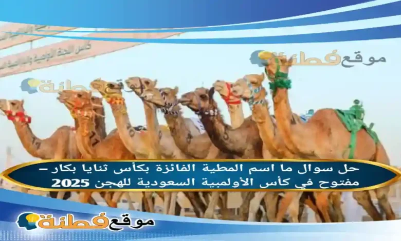ما اسم المطية الفائزة بكأس ثنايا بكار – مفتوح في كأس الأولمبية السعودية للهجن 2025