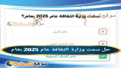 سمت وزارة الثقافة عام 2025 بعام