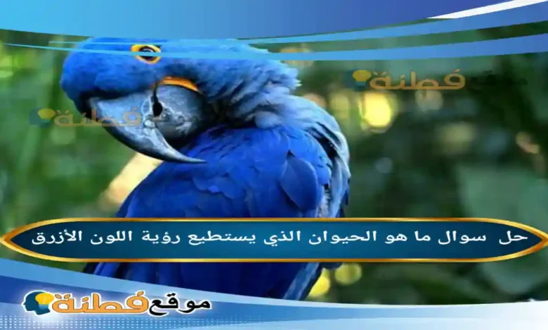 ما هو الحيوان الذي يستطيع رؤية اللون الأزرق