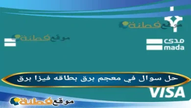 في معجم برق بطاقه فيزا برق