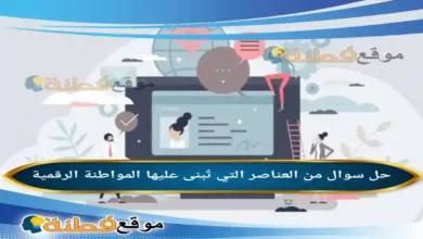 من العناصر التي تُبنى عليها المواطنة الرقمية