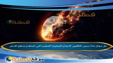 ماذا يسمى الفلكيون الاجرام الصخريه الصغيره التي تصطدم بسطح الارض