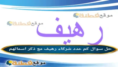 كم عدد شركاء رهيف مع ذكر اسمائهم