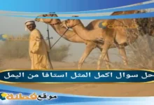 استافا من اليمل