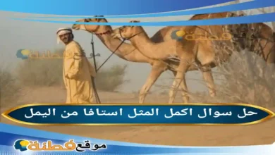 استافا من اليمل