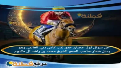 اول حصان حقق لقب كأس دبي العالمي وهو يمثل شعار صاحب السمو الشيخ محمد بن راشد ال مكتوم