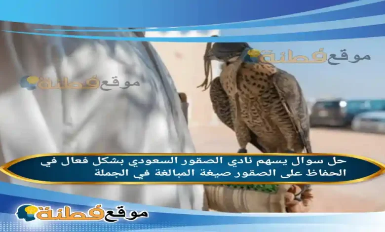 يسهم نادي الصقور السعودي بشكل فعال في الحفاظ على الصقور صيغة المبالغة في الجملة