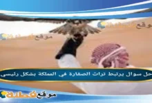 يرتبط تراث الصقارة في المملكة بشكل رئيسي