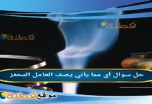 أي مما يأتي يصف العامل المحفز