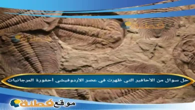 من الأحافير التي ظهرت في عصر الأردوفيشي أحفورة المرجانيات