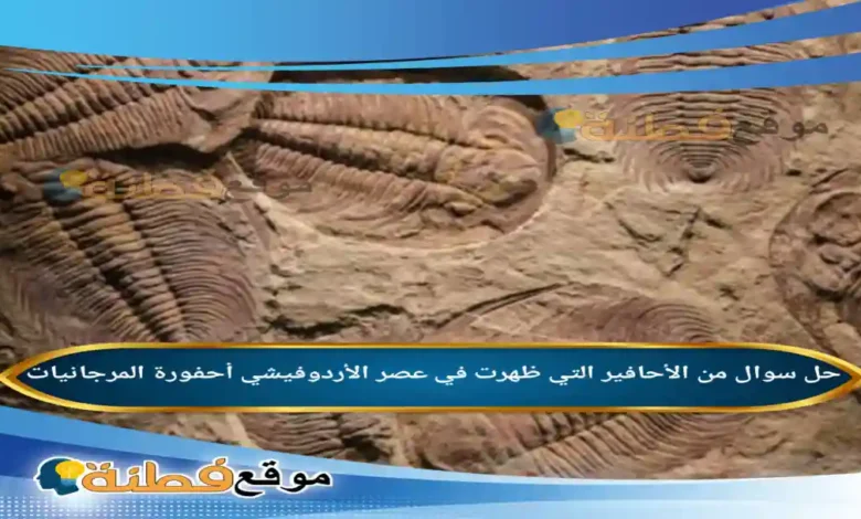 من الأحافير التي ظهرت في عصر الأردوفيشي أحفورة المرجانيات